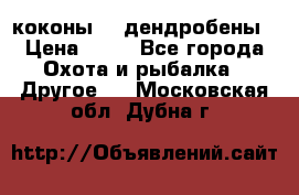 коконы    дендробены › Цена ­ 25 - Все города Охота и рыбалка » Другое   . Московская обл.,Дубна г.